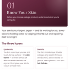 Skin, Simplified: The Curvela Guide to Calm, Clear, Confident Skin