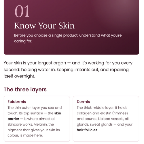 Skin, Simplified: The Curvela Guide to Calm, Clear, Confident Skin
